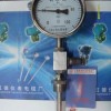 供應(yīng)WTYY-1021虹德液體壓力式溫度計