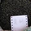 欒樹種子