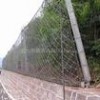 被動邊坡防護網