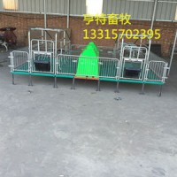 廠家現貨供應復合漏糞板母豬分娩產床