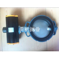 EBRO氣動蝶閥DN100現貨