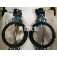 現貨EBRO渦輪對夾蝶閥