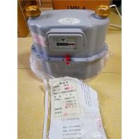 丹東燃?xì)獗鞮MN-10 LMN-16工業(yè)儀表