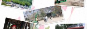 即便是睡覺都不肯武漢公司秋游這只表達出沒找對地方