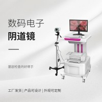 電子陰道鏡