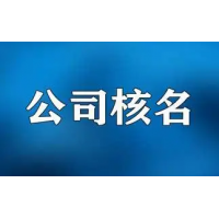 代理申請無區(qū)域旅游公司名字中字頭國字頭等名稱代辦